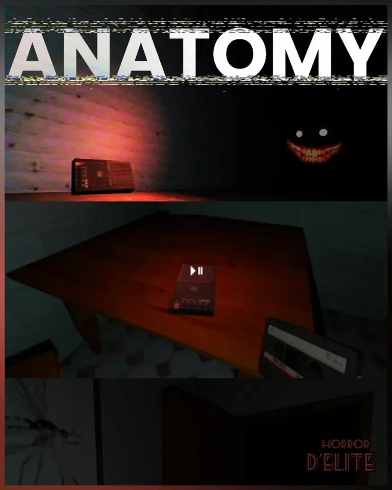 Anatomy