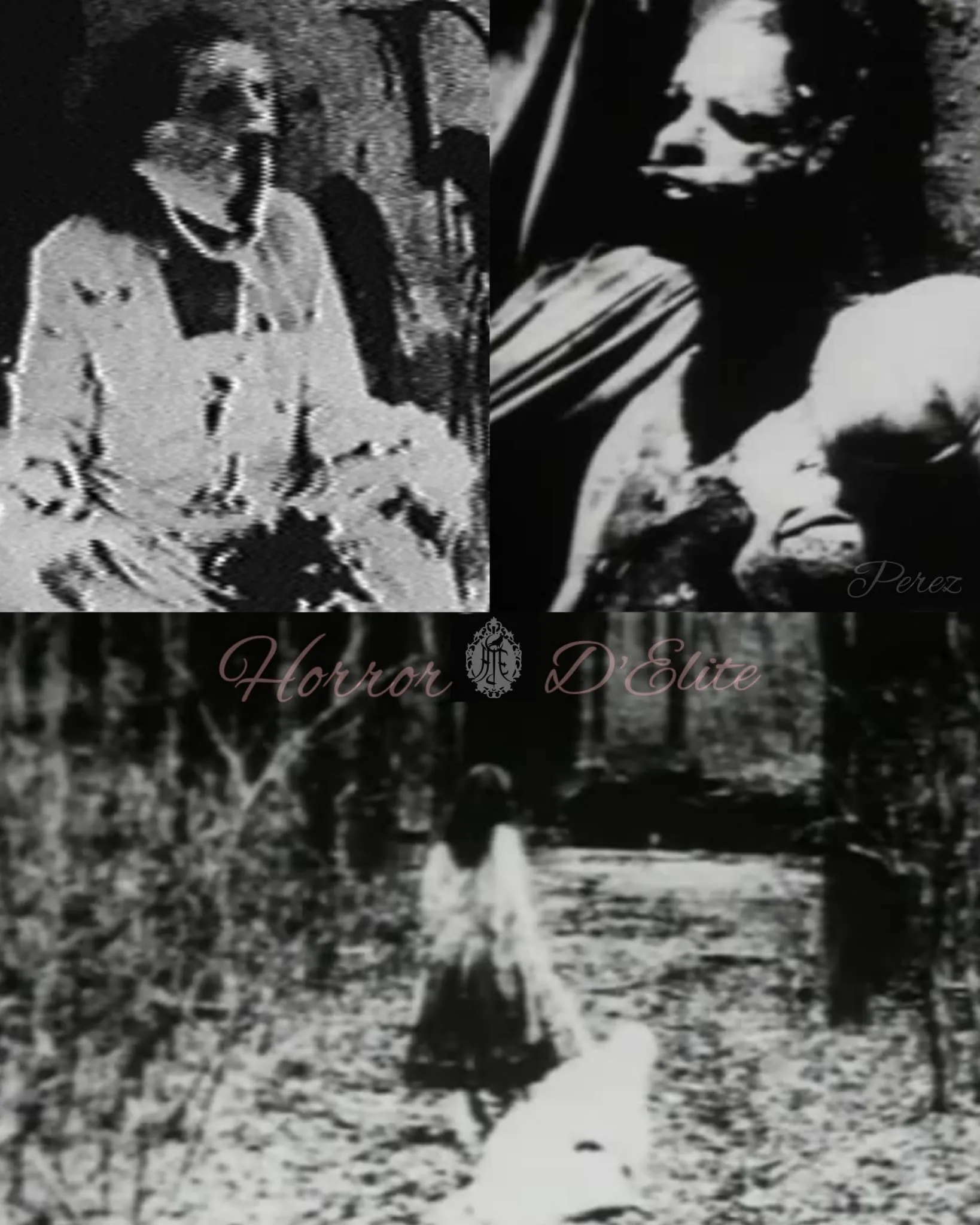 Begotten