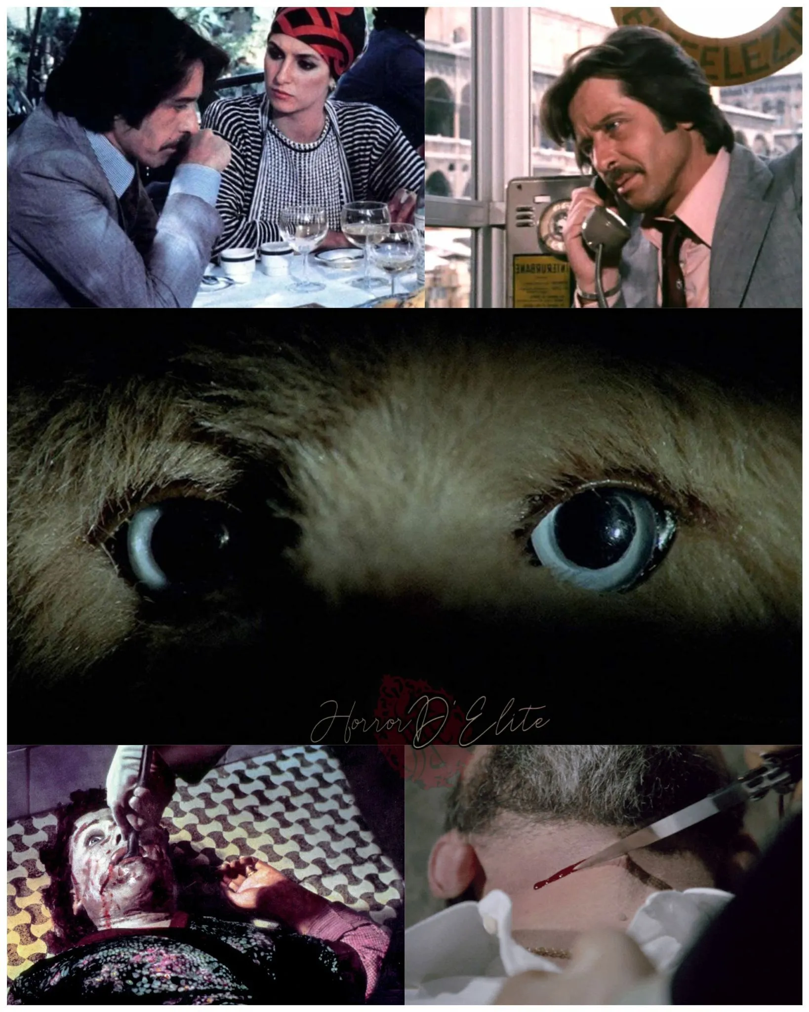 Il Gatto dagli Occhi di Giada