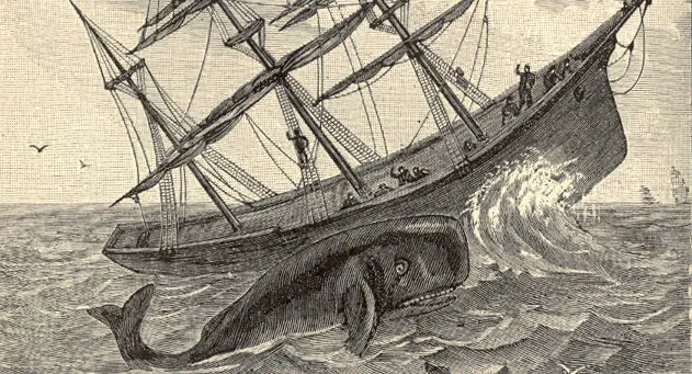 La Tragedia dell'Essex