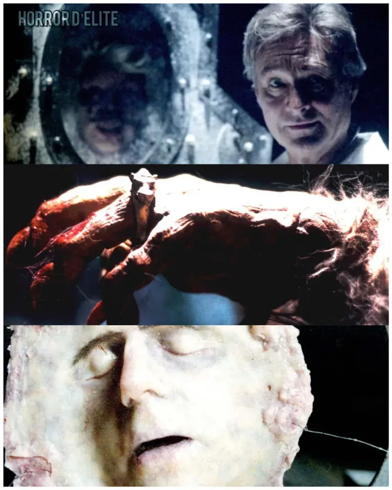 The Three Faces of Terror