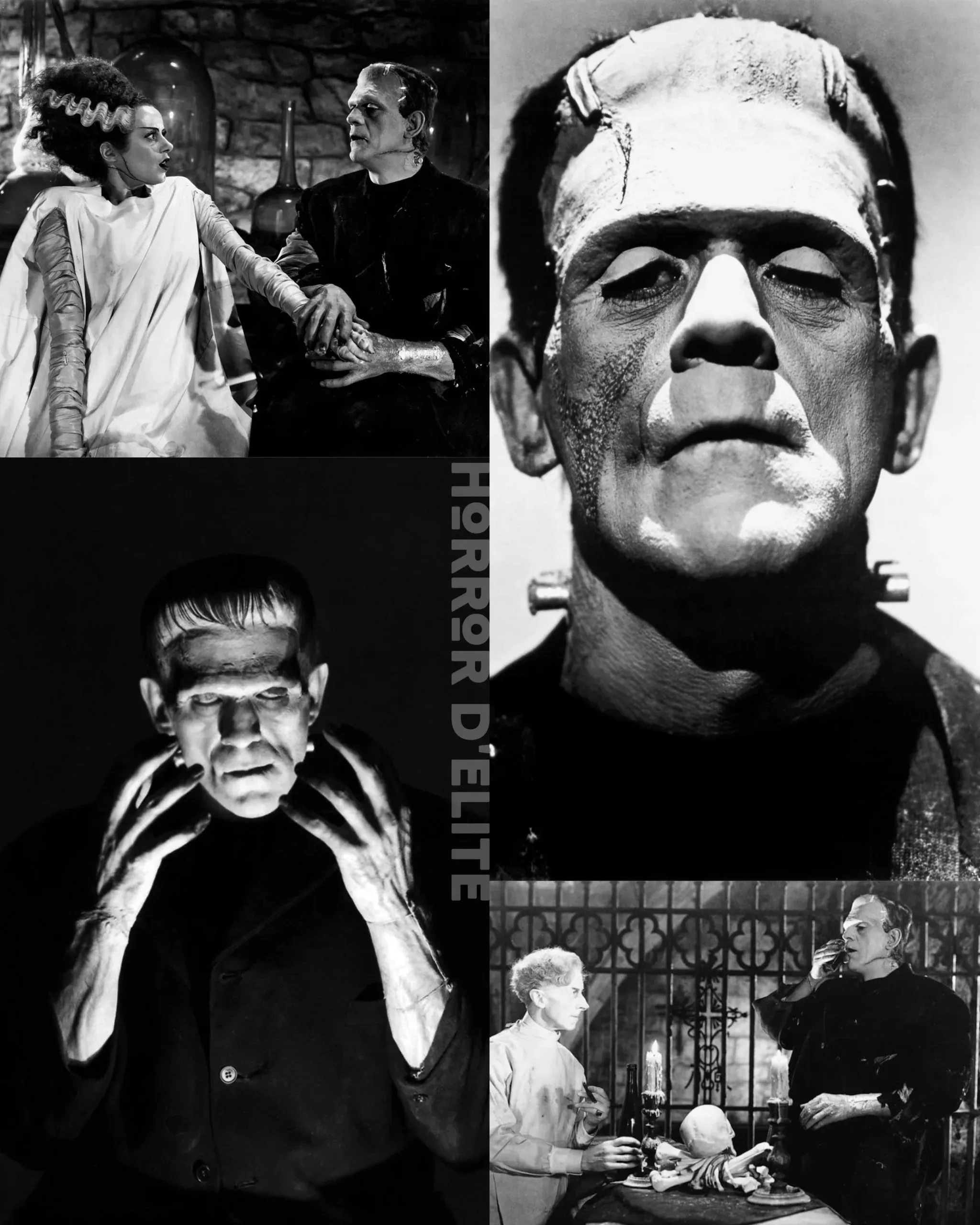 Frankenstein (1931)