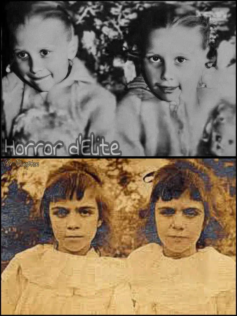 The Pollock Twins - A Case of Reincarnation?