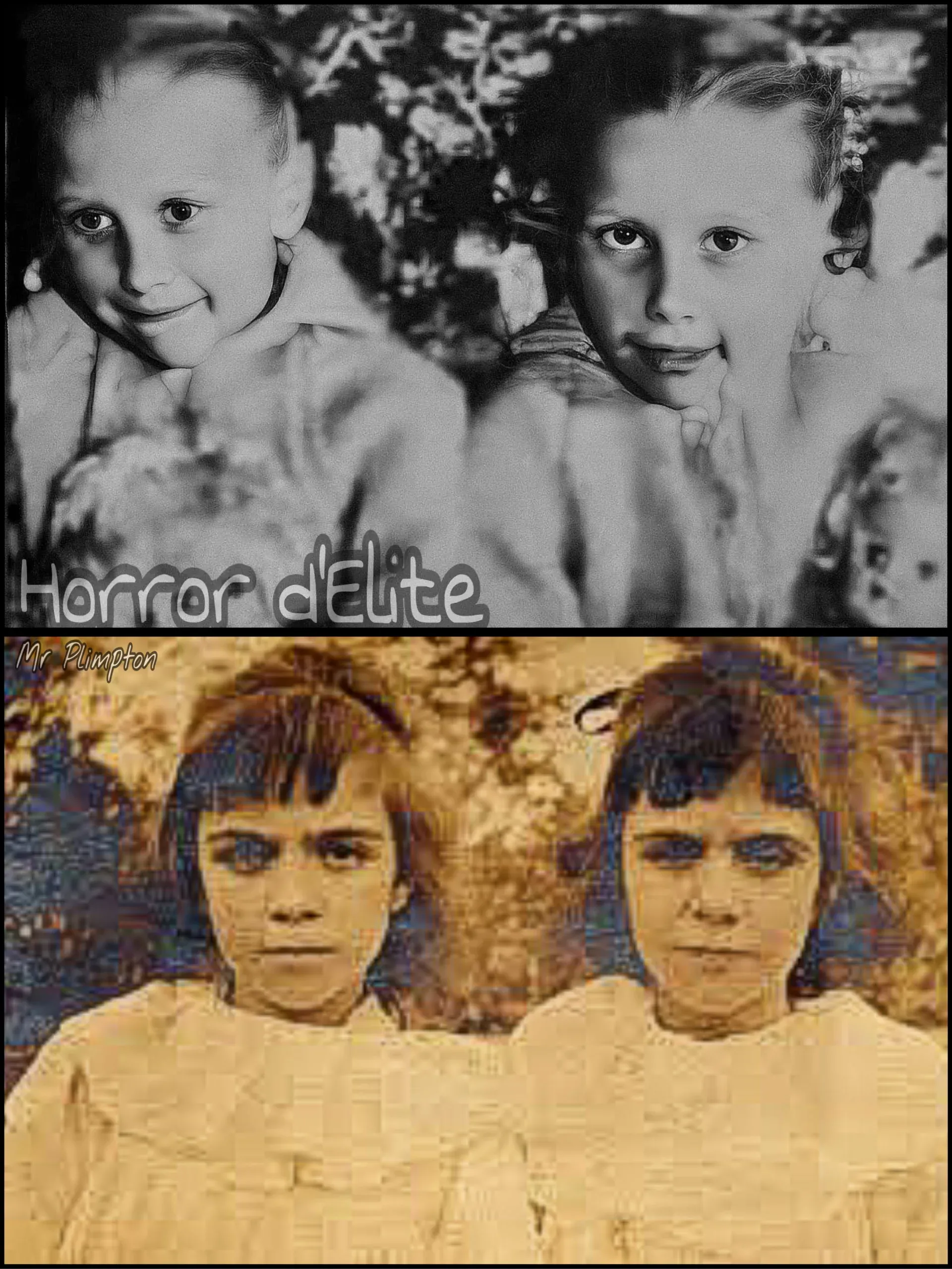 Las gemelas Pollock - ¿Un caso de reencarnación?