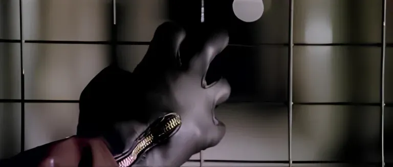 I Guanti dell'Assassino