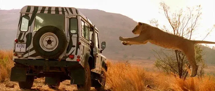 The Beasts of Horror: The Role of Animals in Horror Films