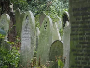 Tower Hamlets Cemetery