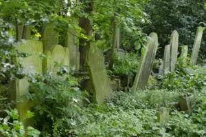 Tower Hamlets Cemetery