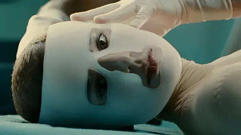 Palinsesto TV Domenica 8 Dicembre 2024