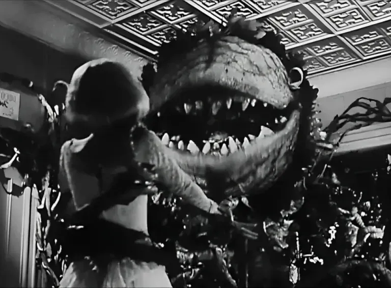 Palinsesto TV Martedì 28 Gennaio 2025