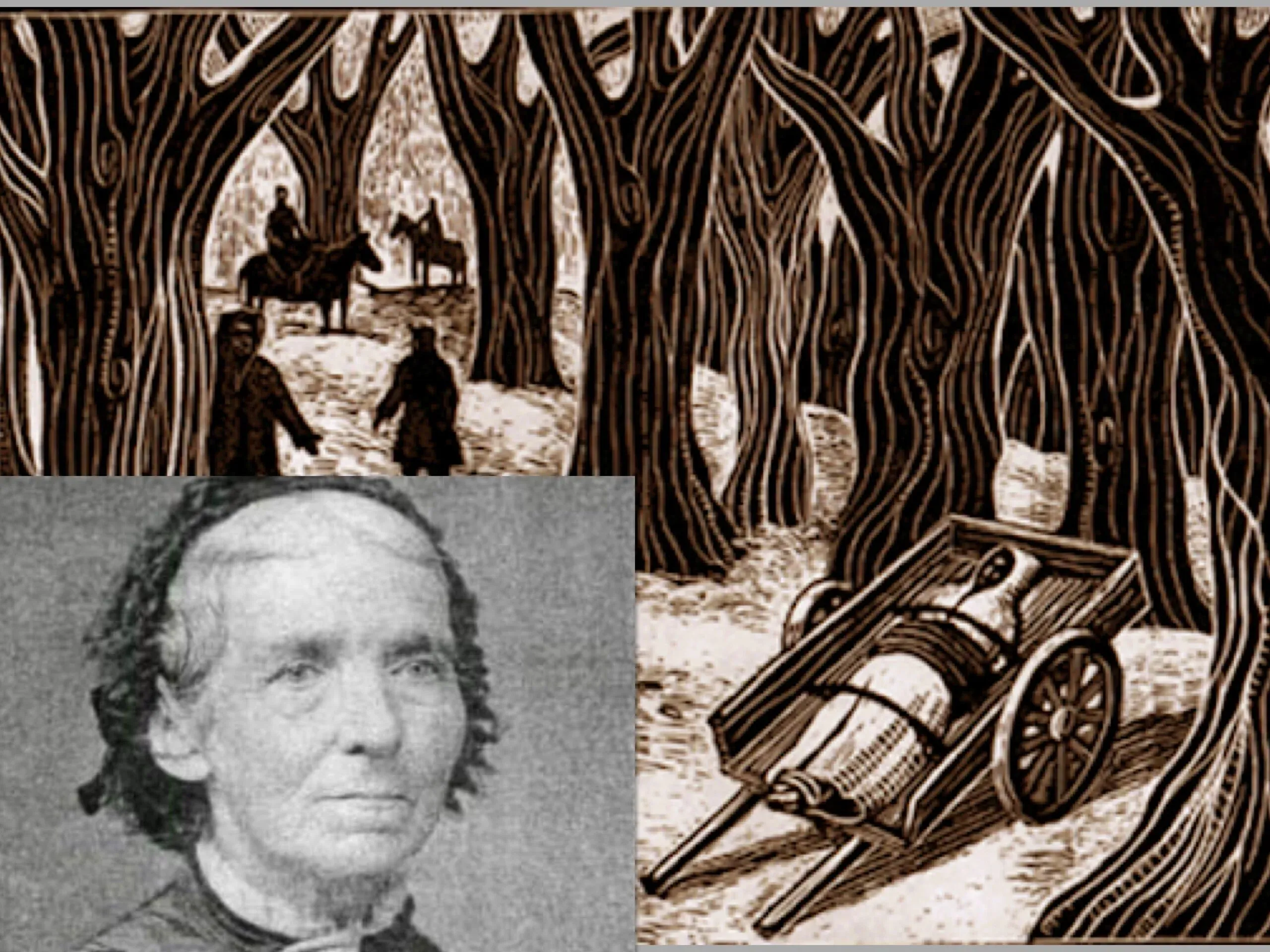 The True Story of the Blair Witch