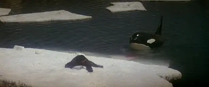 l'orca assassina