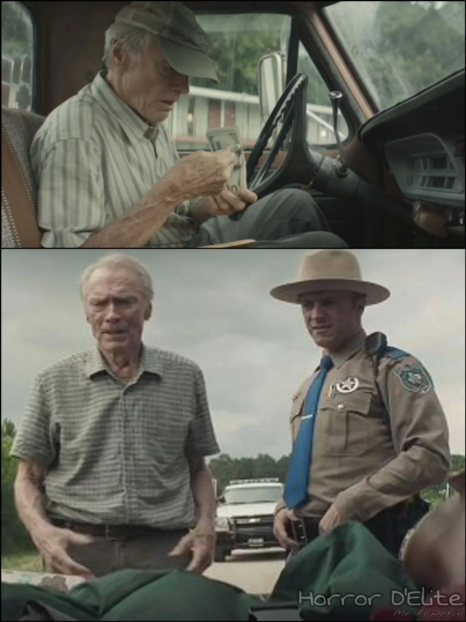 The Mule