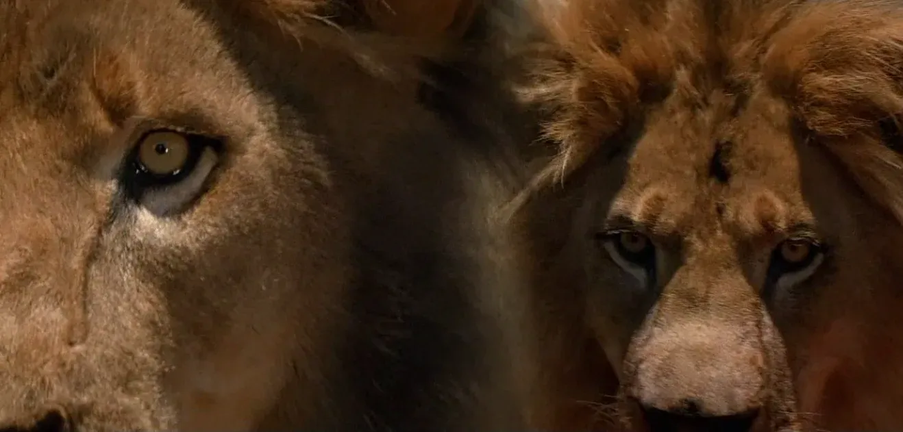 Spiriti nelle Tenebre