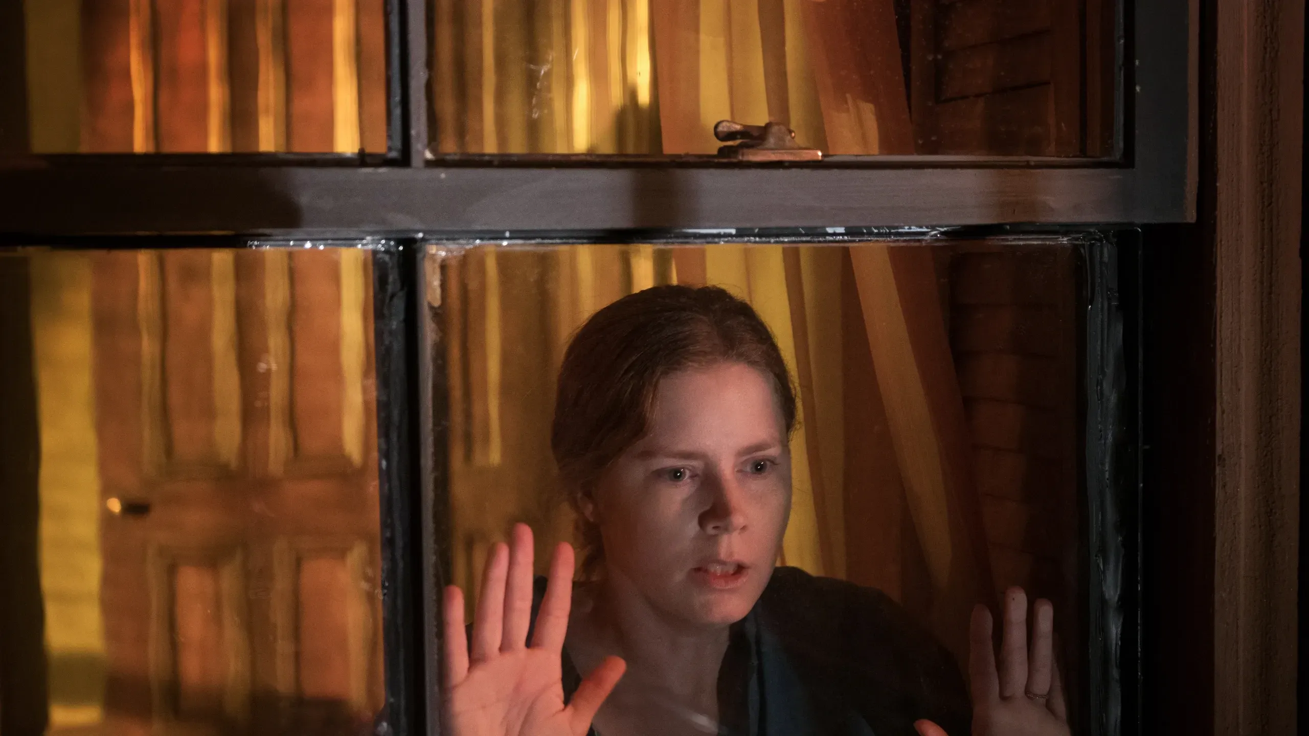 la donna alla finestra