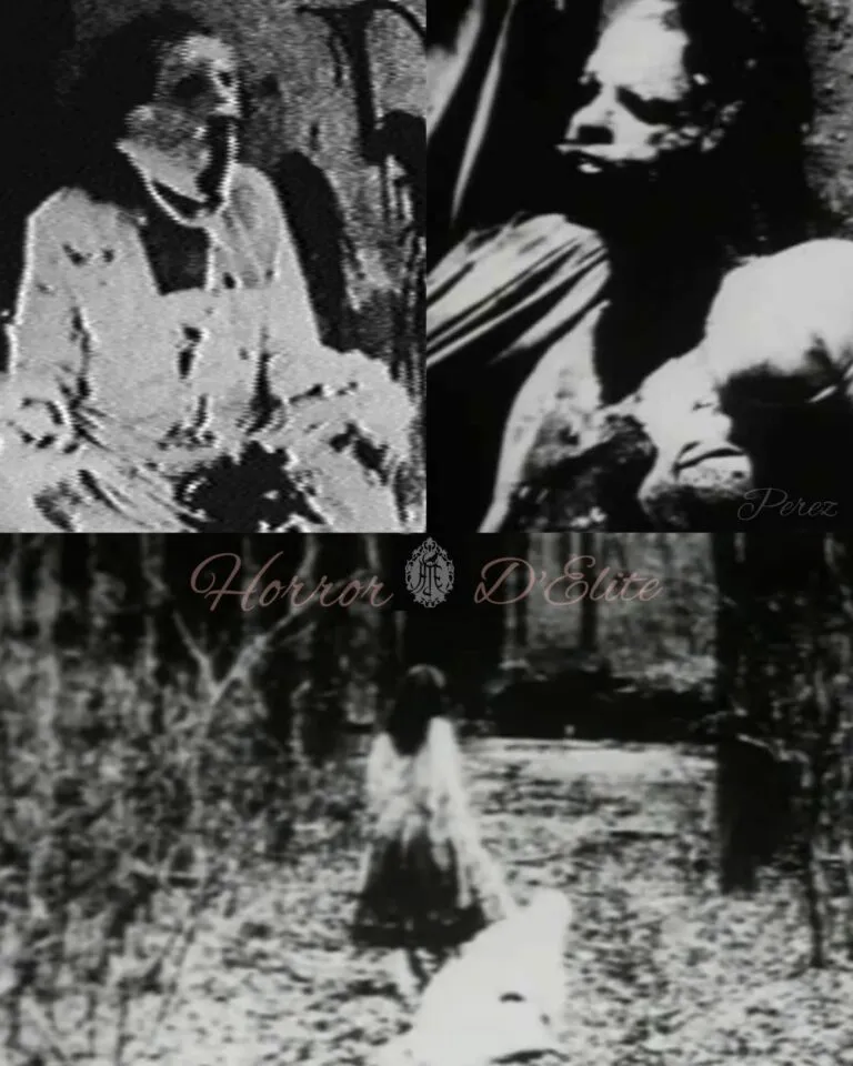 Begotten