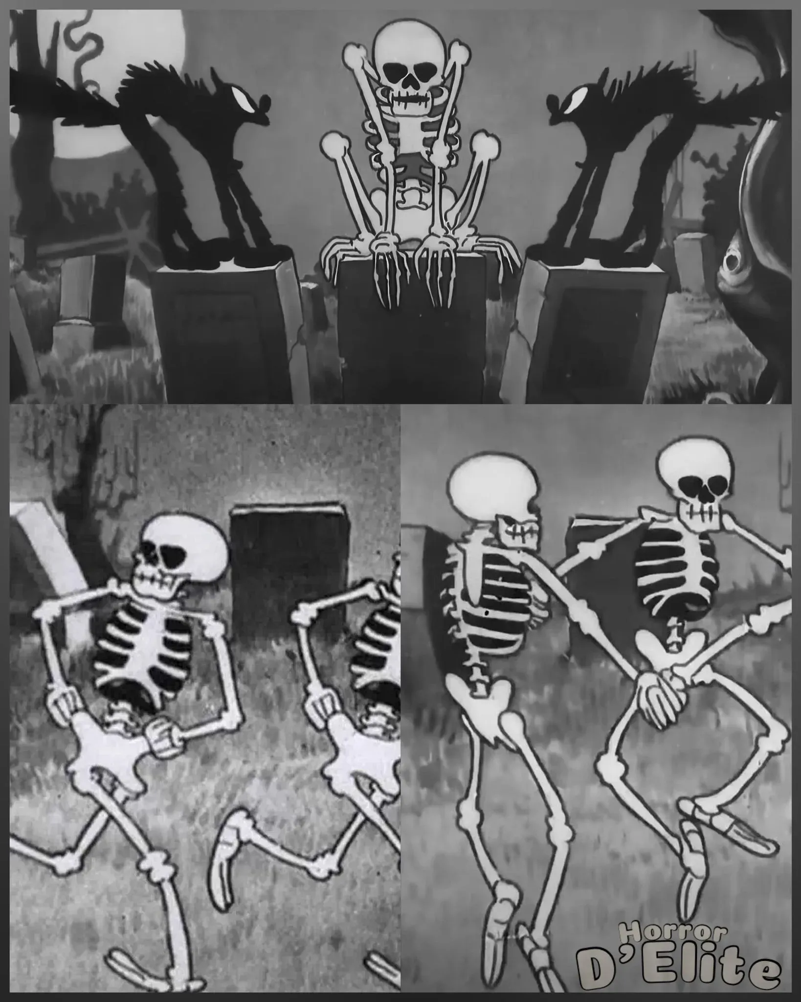 The Skeleton Dance