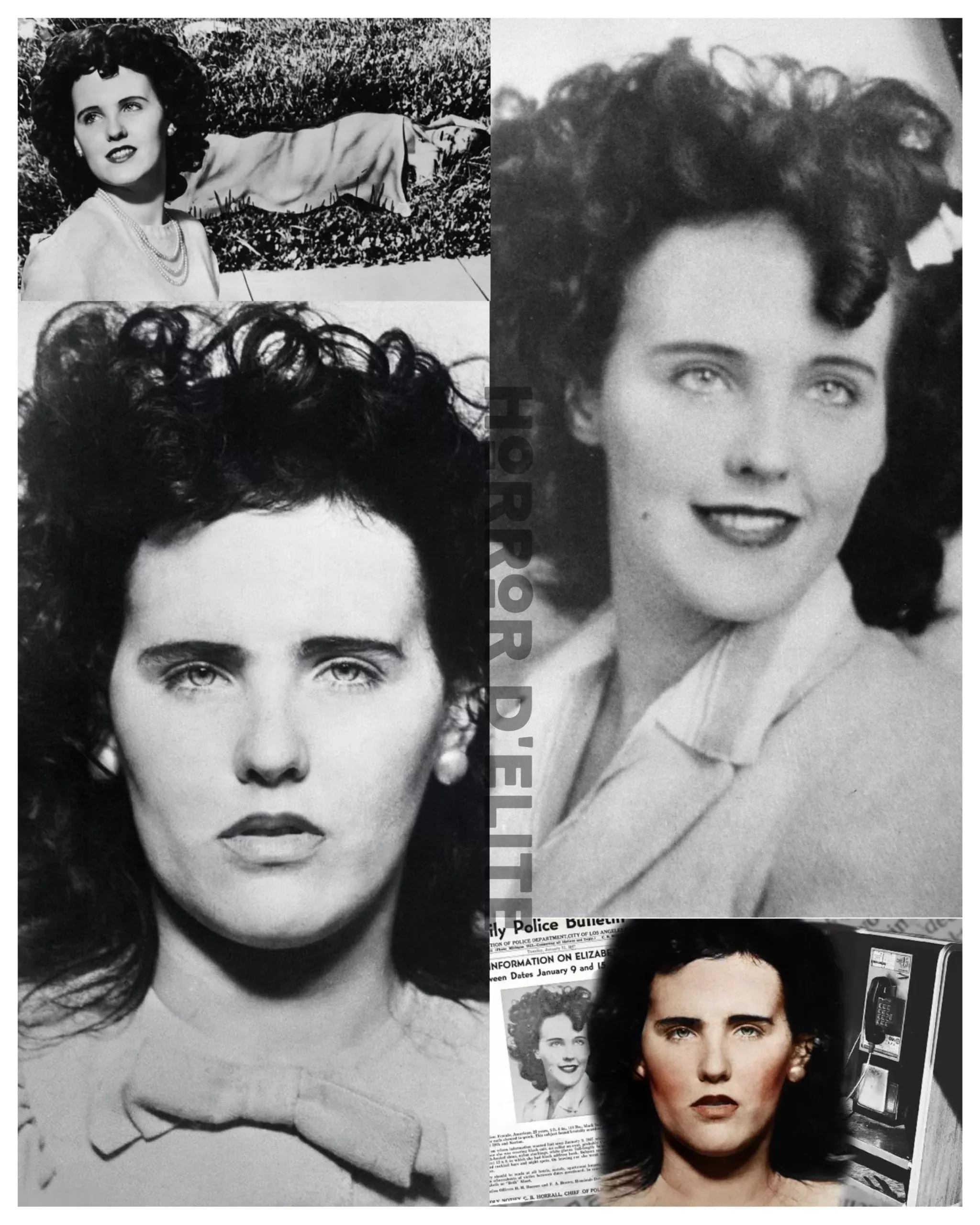 La Dalia Negra (The Black Dahlia Case)