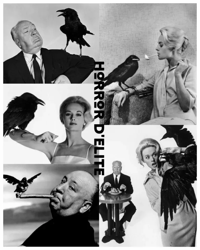 The Birds