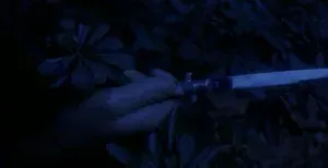 The Fifth Cord