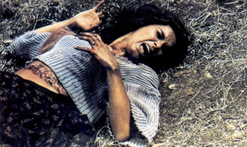 El Extraño Secreto del Bosque de las Sombras.