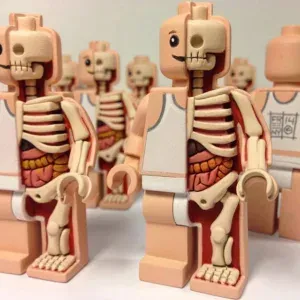 Jason Freeny Lego Anatomy