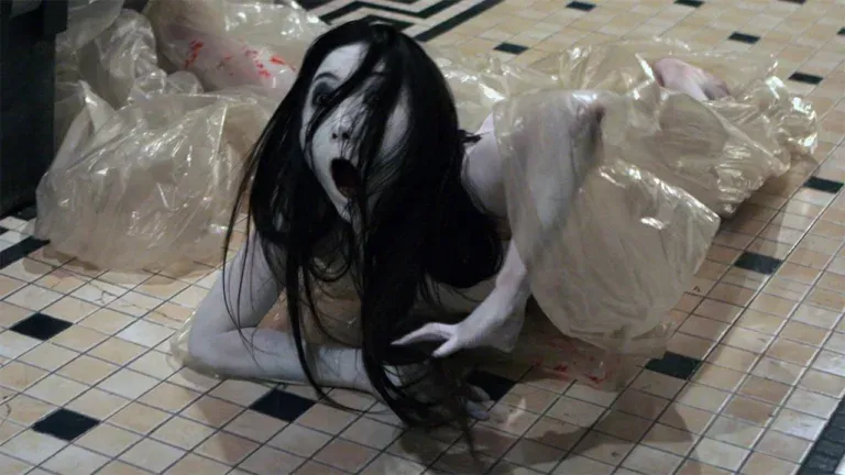 the grudge