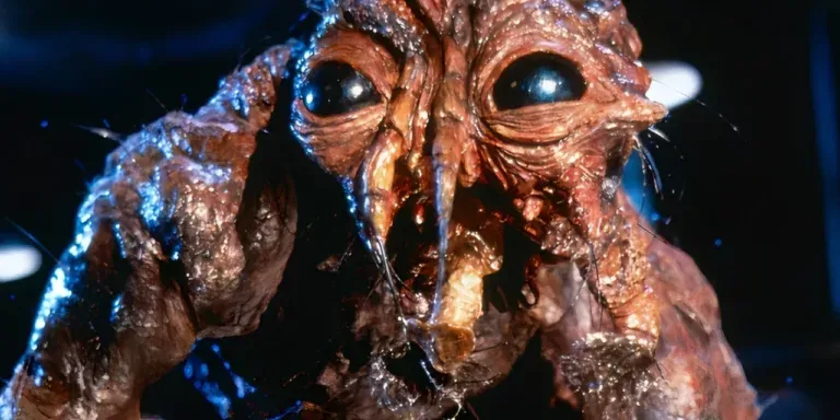 The Fly - La Mosca