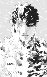 Fire punch - panels -