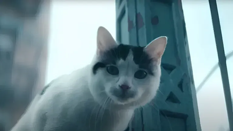 Palinsesto TV Domenica 27 Luglio 2025