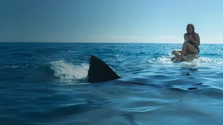 Palinsesto TV Mercoledì 17 Settembre 2025