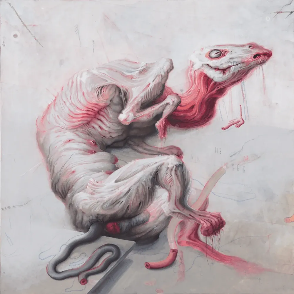 Allison Sommers Anatomie del Sogno e dell'Incubo