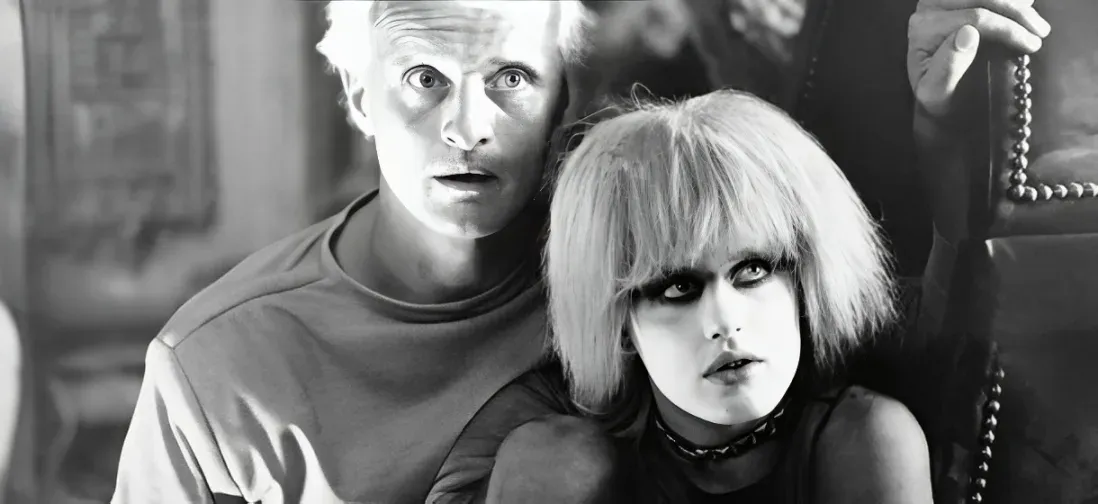 Palinsesto TV Mercoledì 24 Dicembre 2025