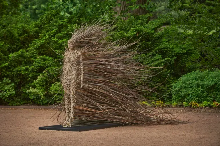 Spiriti tra i Rami La Natura Animata di Olga Ziemska