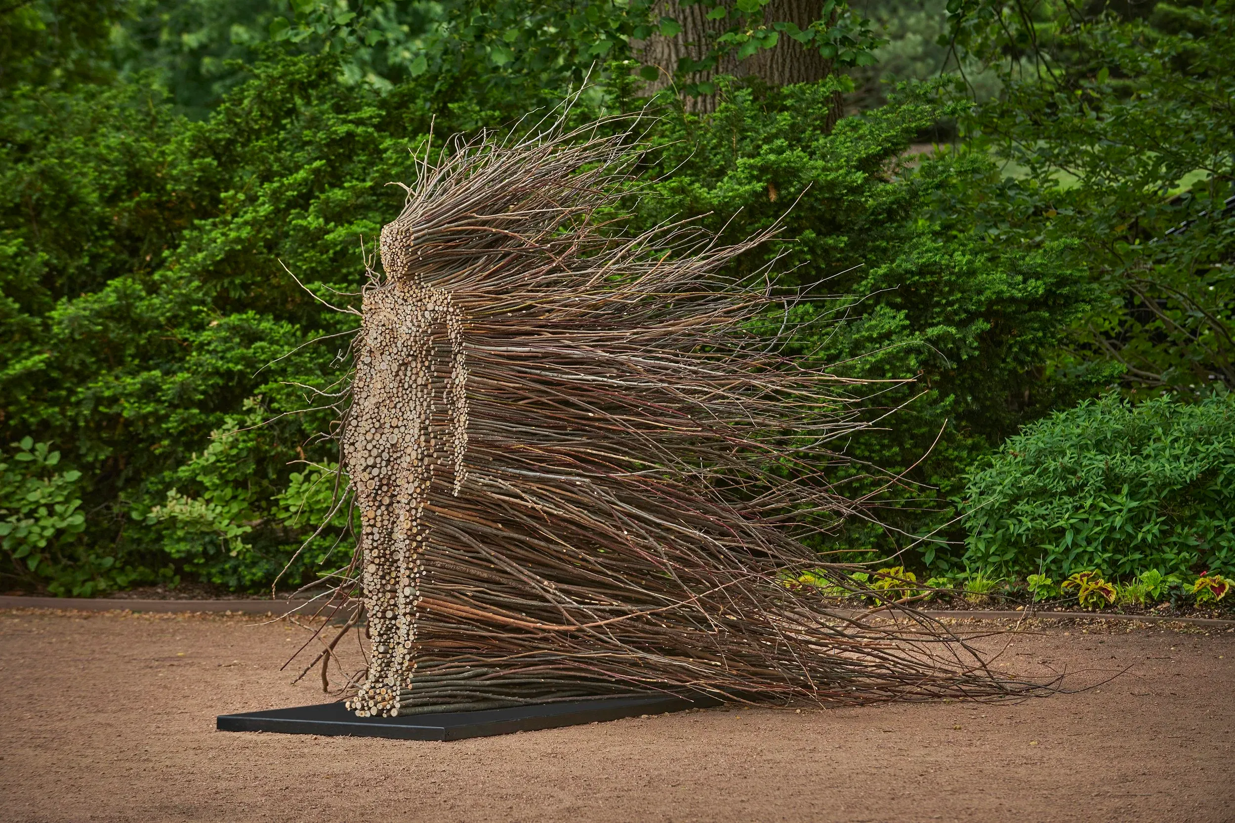 Spiriti tra i Rami La Natura Animata di Olga Ziemska