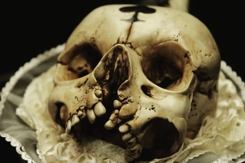 La Cattedrale della Carne Il Sacro Orrore di Emil Melmoth