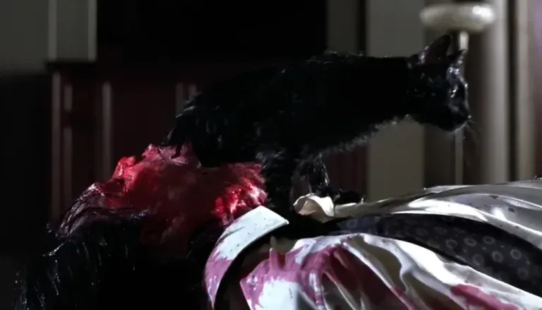 Palinsesto TV Venerdì 27 Febbraio 2026