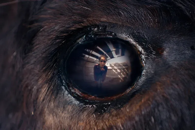 Palinsesto TV Giovedì 5 Marzo 2026