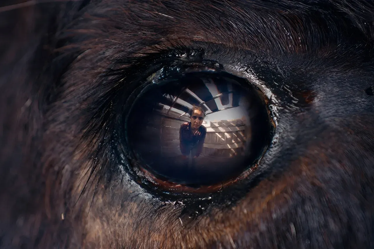 Palinsesto TV Giovedì 5 Marzo 2026